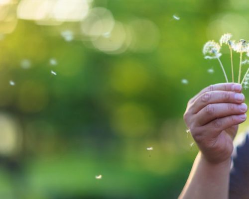 дышать без оглядки