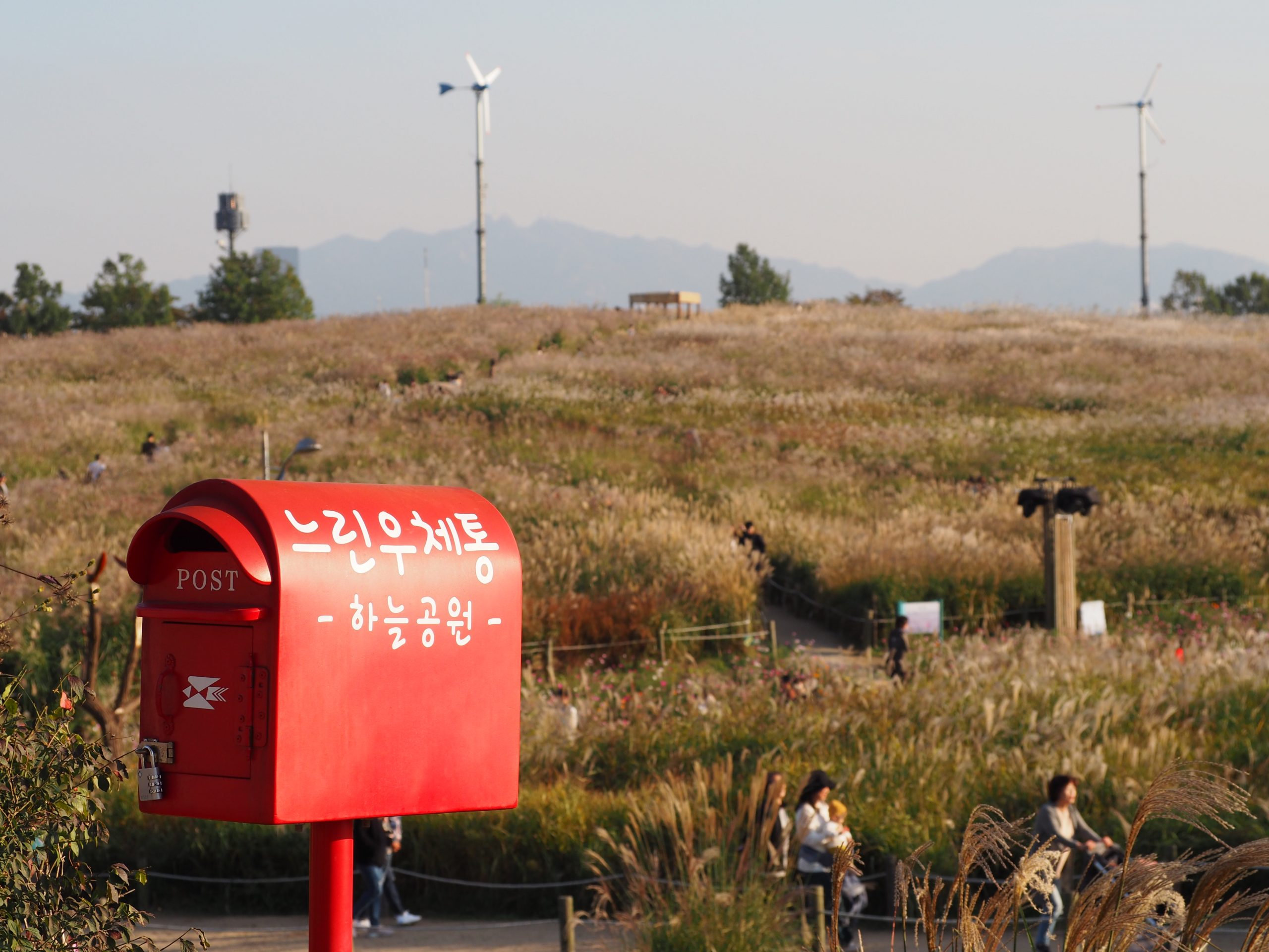 article-news-park-haneyol-main6