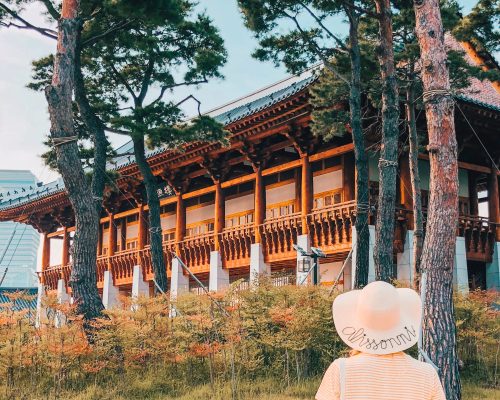 Город будущего Сондо и корейский центральный парк