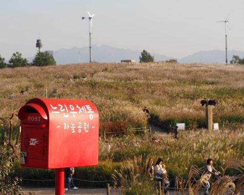 Парк Ханыль в Сеуле