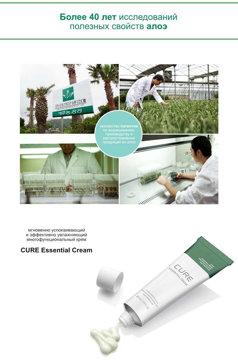Крем для лица CURE Essential Cream 2
