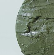 noni-clay-mask12