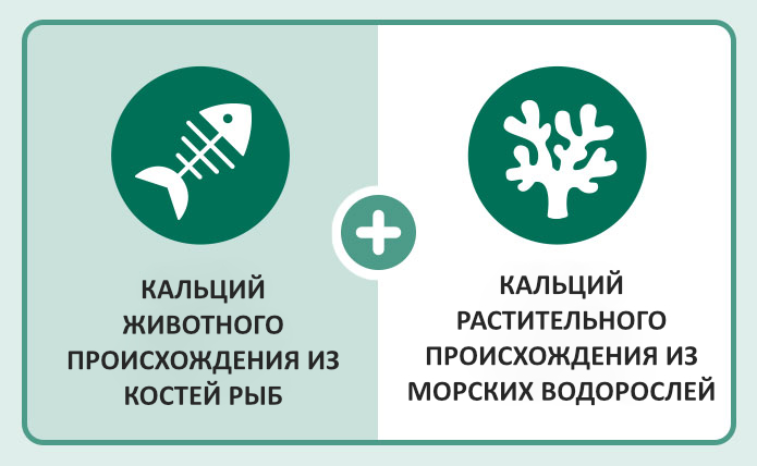 Са 3